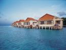 Отель Vivanta By Taj – Coral Reef 5*. Отель"Тадж Корал Риф 5*" (Hotel Taj Сoral Reef 5*)