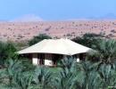 Отель Al Maha Desert Resort & Spa 5*. Бунгало