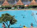 Отель Maritim Jolie Ville Luxor Island Resort 5*. Бассейн