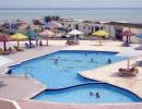 Отель Sun Flowers Nefertiti Beach Resort 3*. Бассейн